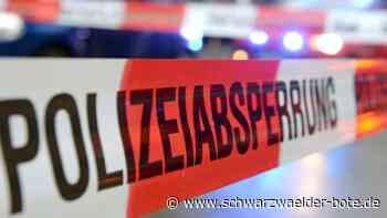 Tötungsdelikt in Ludwigsburg - Polizei fahndet mit Großaufgebot nach Täter - Schwarzwälder Bote