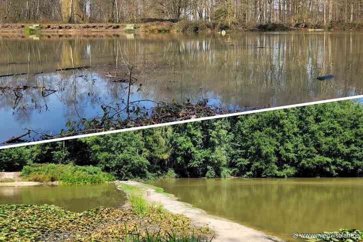 “We staan machteloos”: provincie ziet “dramatische situatie” in visvijver met lede ogen aan