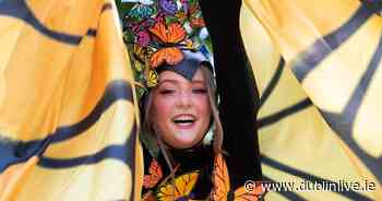 Things to do in Dublin this weekend including local festival and outdoor movies - Dublin Live