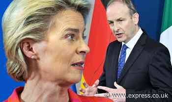 Irexit calls surge: 'Friction rising' between EU and Dublin – 'Days of being catspaw over' - Express