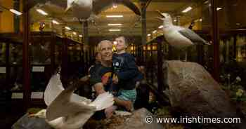 'It's great to be back': Dead Zoo reopens in Dublin for first time in over two years - The Irish Times