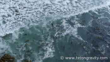 Grant “Twiggy” Baker and Ian Walsh Explore Surfing's Final Frontier - Teton Gravity Research