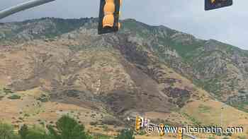 Un américain inculpé pour avoir déclenché un incendie en voulant brûler une araignée