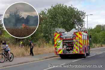 Firefighters tackle grass fire in South Way, Abbots Langley