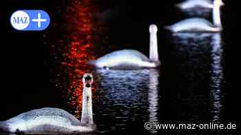 Rathenow: Vorfreude auf die Serenade im Optikpark - Märkische Allgemeine Zeitung