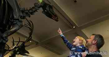 Dublin's 'dead zoo' comes back to life but with a catch - Dublin Live