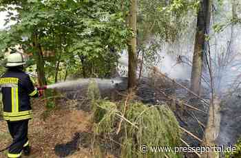 FW Celle: Waldbrand in Groß Hehlen