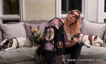 Le ravisseur des chiens de Lady Gaga à nouveau arrêté par la police