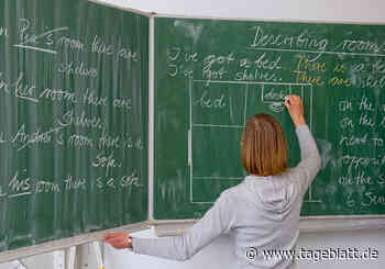 Beamtenbund fordert mehr Personal für Justiz, Verwaltung und Polizei - Alle Artikel - Tageblatt-online