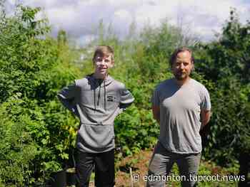 Project looks to map saplings given to Alberta first-graders - Taproot Edmonton