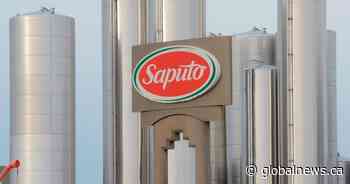 Quebec-based dairy giant Saputo reports net earnings of $139 million