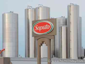 Saputo reports net earnings of $139 million - Barrie News - BarrieToday