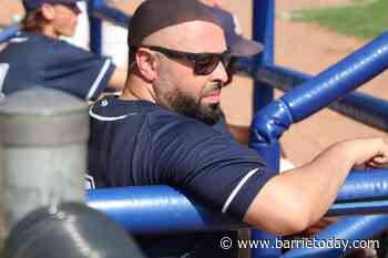 Former Baycats help lead Guelph to win over Barrie - BarrieToday