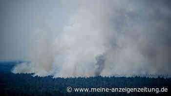 Großfeuer in Berlin: Feuerwehr bekommt Waldbrand nicht in den Griff - Autobahn in Gefahr