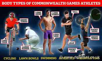 Could YOU compete at the Commonwealth Games? Scientist reveals the ideal physique