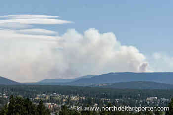 Wildfire south of Cranbrook grows to estimated 500 hectares - North Delta Reporter