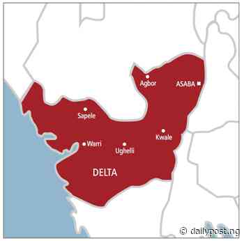 Suspected armed robber threatening hotel guests with gun apprehended in Delta - Daily Post Nigeria