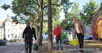 Bamberg: Nach verlorener Wette - Bürgermeister gießen Stadtbäume