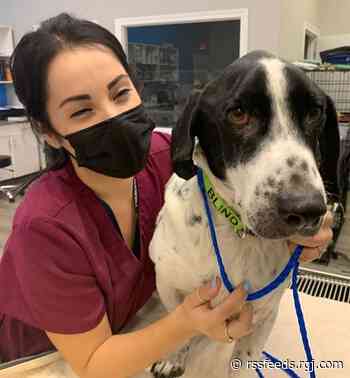 Nevada nonprofits raising matching dollars for A Community Thrives grants