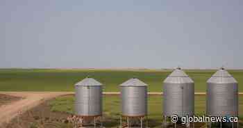 Nutrien CEO says Ukraine war will drive product demand for years