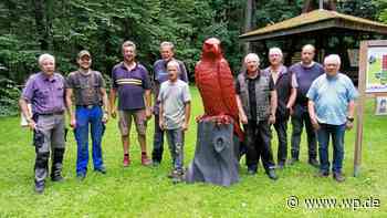 Marsberg: Neue Attraktion im Naturerlebnis-Wald in Meerhof - WP News