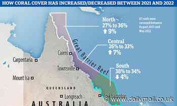 Great Barrier Reef has highest coral cover in 36 years