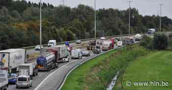 Vrachtwagen verliest lading lijnzaad op R4 in Destelbergen: verkeer tijdelijk verstoord - Het Laatste Nieuws