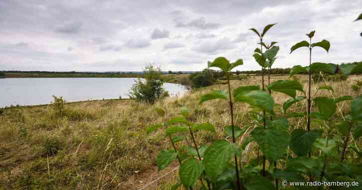 Fall Ayleen: Verdächtiger soll Schülerin belästigt haben