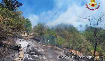 FORLI': Bosco in fiamme a Galeata, all'opera 14 mezzi dei vigili del fuoco e l'elicottero | VIDEO - Teleromagna24