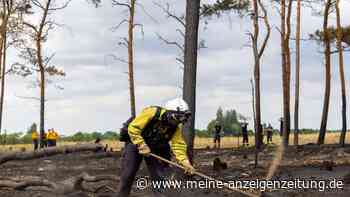 Leitkegel am Straßenrand: Darum darf man sie auf keinen Fall wegräumen