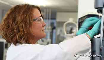 Aktien - Sollen Anleger bei abgestraften Aktien nach Gewinnwarnungen gleich zulangen?