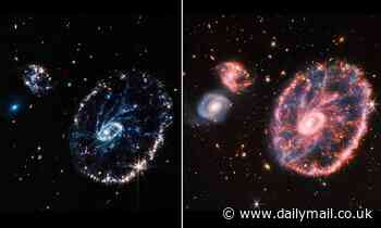 James Webb telescope captures stunning new image of Cartwheel Galaxy
