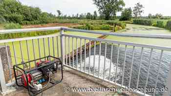 Dauer-Frischluft für gestresste Aller-Fische in Wolfsburg