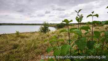 Fall Ayleen: Verdächtiger soll Schülerin belästigt haben