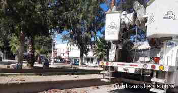 Rehabilitan jardines en Fresnillo - NTR Zacatecas .com