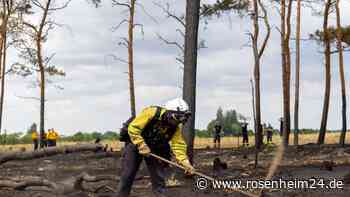 Leitkegel am Straßenrand: Darum darf man sie auf keinen Fall wegräumen