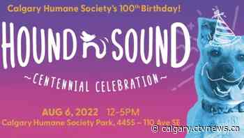 Calgary Humane Society celebrating centennial and renovation | CTV News - CTV News Calgary