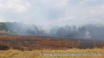 Großer Waldbrand bei Königslutter: massives Feuerwehraufgebot