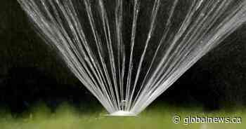 Southwestern Ontario town temporarily bans outdoor water use in some areas