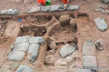 Mammoth bones and 'ghost' footprints add to heated debate about first humans in North America