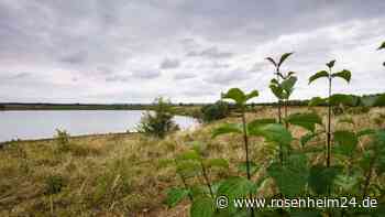 Fall Ayleen: Verdächtiger soll Schülerin belästigt haben