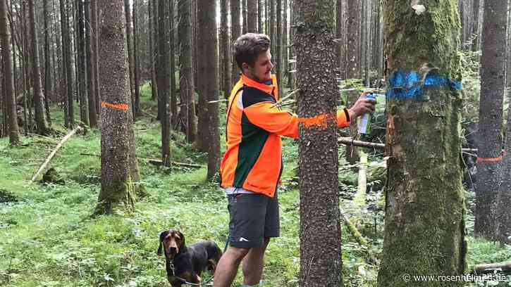 Mit Förstern im Staatswald zum Thema Mischwald