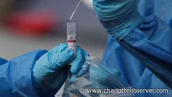 Coronavirus updates for Aug. 4: Here’s what to know in North Carolina this week - Charlotte Observer