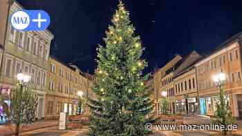 Luckenwalde: Tannenbaum für den Weihnachtsmarkt gesucht - Märkische Allgemeine Zeitung