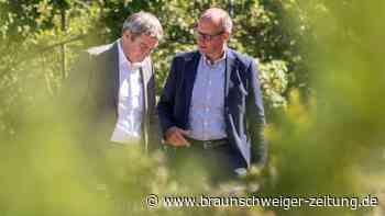 «Im Kern des Reaktors» - Union will Laufzeitverlängerung