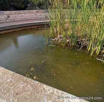 Bari, il degrado nel parco degli Aquiloni tra rifiuti, giochi rotti e zanzare: "Uno scempio" - FOTO - Borderline24.com