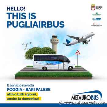 Pugliairbus, dal 7 agosto è attivo il servizio festivo Foggia-Bari Aeroporto - autobusweb