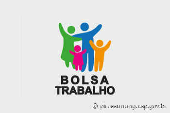 Lista de aprovados no programa bolsa trabalho - pirassununga.sp.gov.br