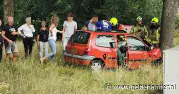 Automobilist neemt rotonde verkeerd en botst tegen boom in Heelsum - De Gelderlander