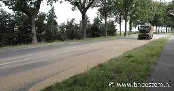 Graan op de weg: auto knalt tegen boom op Halsterseweg in Steenbergen - BN DeStem